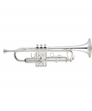 Alyse TR-6333s silver