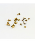 Alysee High Sax Replacement Screws