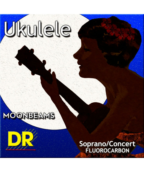 dr ufsc ukelele soprano/concert