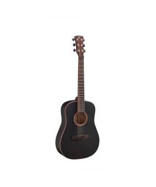 Chit. Acoustic SOUNDSATION SHADOW Ba200-Compact