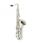 YAMAHA YTS-480s saxophone