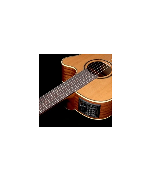 Takamine p3fcn