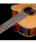 Takamine p3fcn