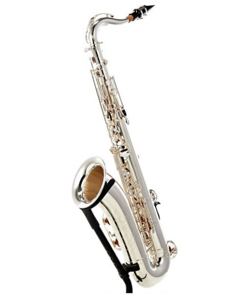 YAMAHA YTS-480s saxophone