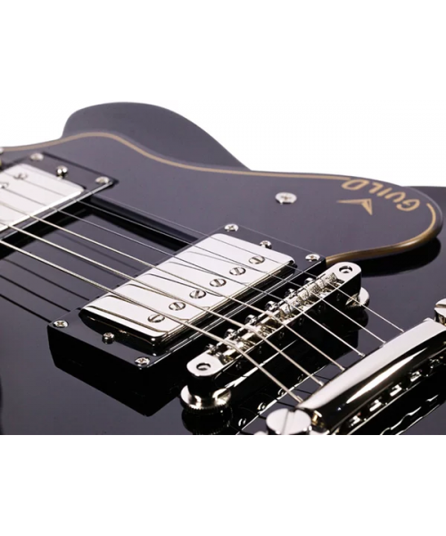 guild bluesbird black
