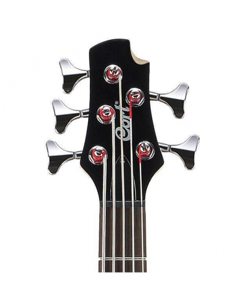 CORT  BASS V cort action bass v plus