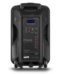 TRONIS FT12LED PORTABLE SYSTEM 12 BT/1UHF