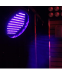 Beamz PLS20 Blacklight UV par
