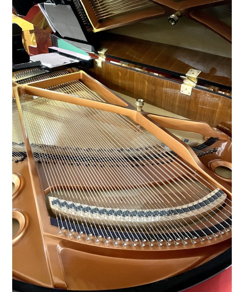 Half-tail piano KREUTZ MoD. GPS-148 glossy black