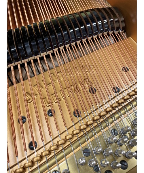 Half piano BLÜTHER Satin black