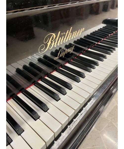 Half piano BLÜTHER Satin black