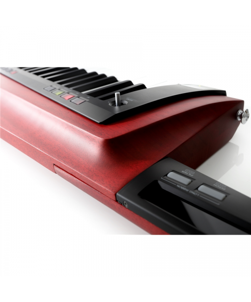 KORG Rk-100s2-Rd