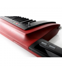 KORG Rk-100s2-Rd