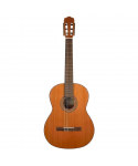 Salvador Cortez DC-22 Classic Guitar 4/4