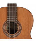 Salvador Cortez DC-22 Classic Guitar 4/4