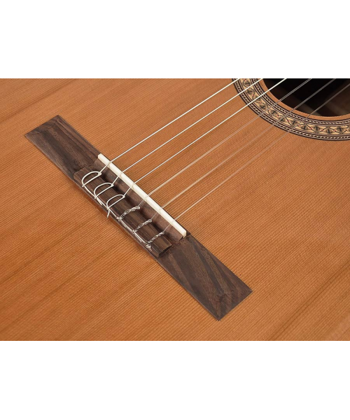 Salvador Cortez DC-22 Classic Guitar 4/4