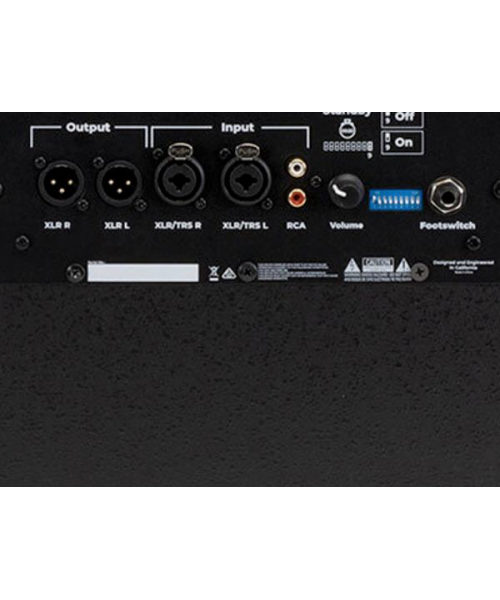 KALI AUDIO WS-12 - 12 '' subwoofer