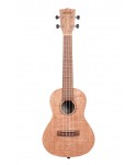 KALA Ka-20c - Ukulele Concerto Meranti