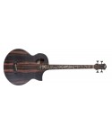MICHAEL KELLY Dragonfly 4 Java - Acoustic low -Electrified - Natural Satin