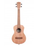 KALA KA-20T - UKULELE TENORE MERANTI