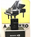 MONTARBO - 210 acoustic case