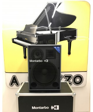 MONTARBO 315 Acoustic case