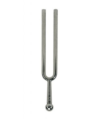 WITTNER To-1 440Hz Diapason