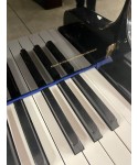 Half tail piano and. SEILER Glossy black