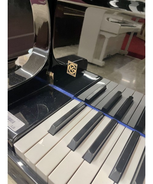 Half tail piano and. SEILER Glossy black