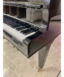 Half tail piano and. SEILER Glossy black