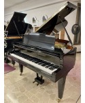 Half tail piano and. SEILER Glossy black