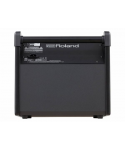 ROLAND PM-100 PERSONAL DRUM MONITOR