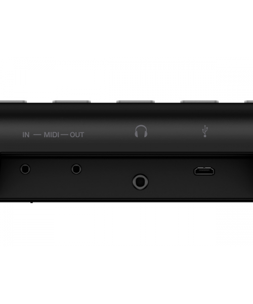 Ik multimedia irig keys 2 mini