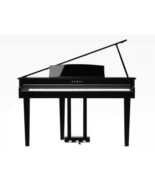 KAWAI DG-30