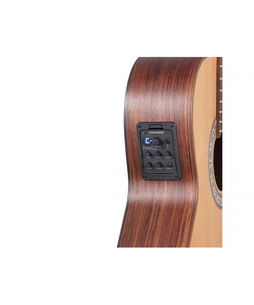 Toledo guitar Hybrid Toledo Beatriz H Cop Cedar (Open Pore)