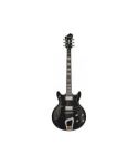 Hagstrom Alvar BK