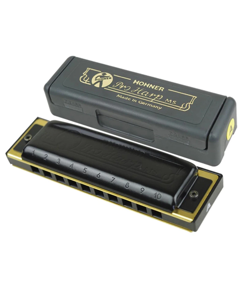 Hohner Pro Harp C