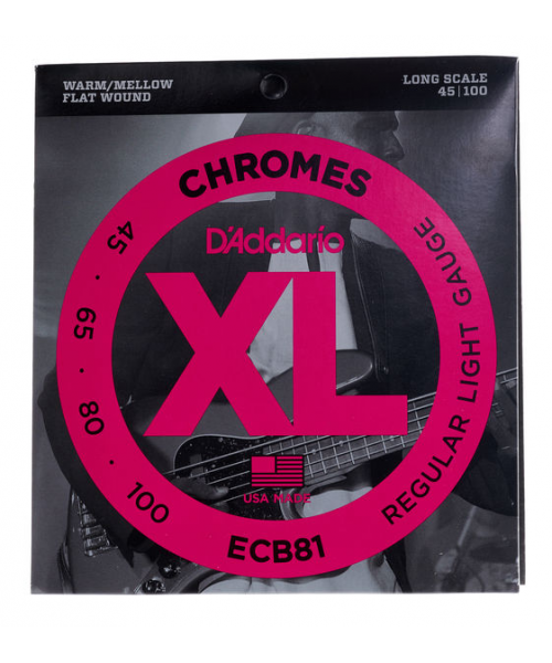 D'Addario ECB81