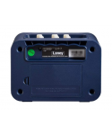 Laney mini-Lion - MINI COMBO 'Smart' Lionheart - Mono