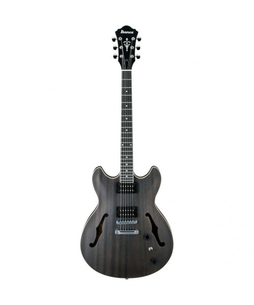IBANEZ AS53 TKF Transparent Black Flat