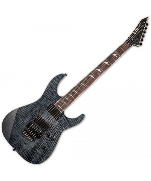 Esp 2024 ltd m1001