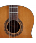 Salvador Cortez DC-08-BB Classical guitar 1/ 2