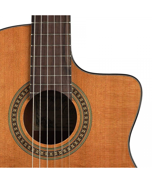 Salvador Cortez DC-10-PA classical guitar 1/ 4