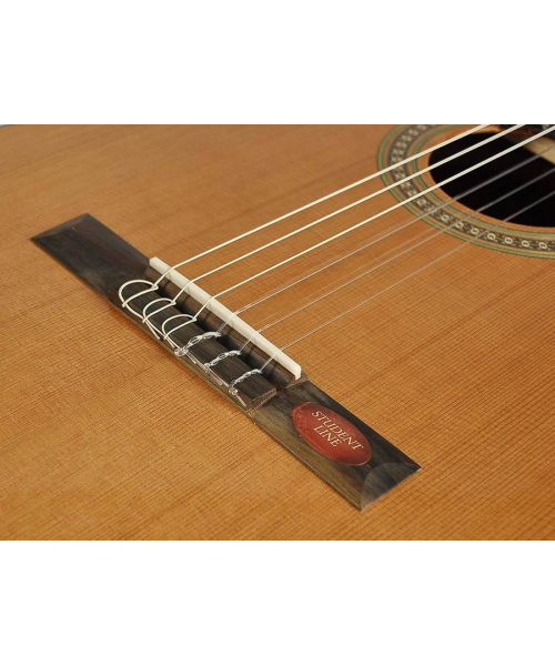 Salvador Cortez DC-10-JR Classic Guitar 3/4