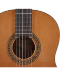 Salvador Cortez DC-10-BB Classical guitar 1/ 2
