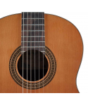 Salvador Cortez DC-15 Classic Guitar 4/4