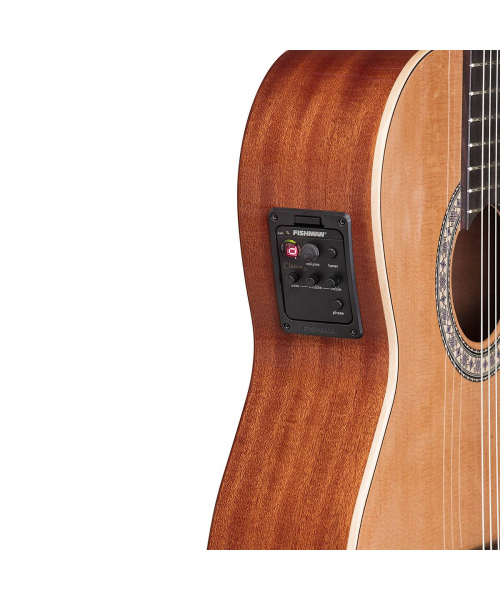 Toledo Julia44cg Cedar (Glossy)