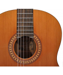 Salvador cortez cc-22-pa chitarra classica 1/4