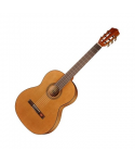 Salvador cortez cc-22-pa chitarra classica 1/4