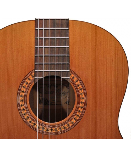 Salvador Cortez DC-22-SN Classical guitar 7/8